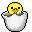 Chick Chick