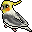 Cockatiel