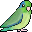 Parrotlet