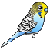 :budgiebirdorable: