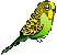 :budgiebirdorable2: