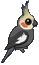 :cockatielbirdorable: