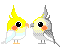 :tielkiss: