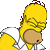 homer :homer: