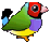 :gouldianbirdorable: