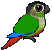 :greencheekbirdorable: