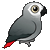 :greybirdorable: