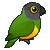 :senegalbirdorable: